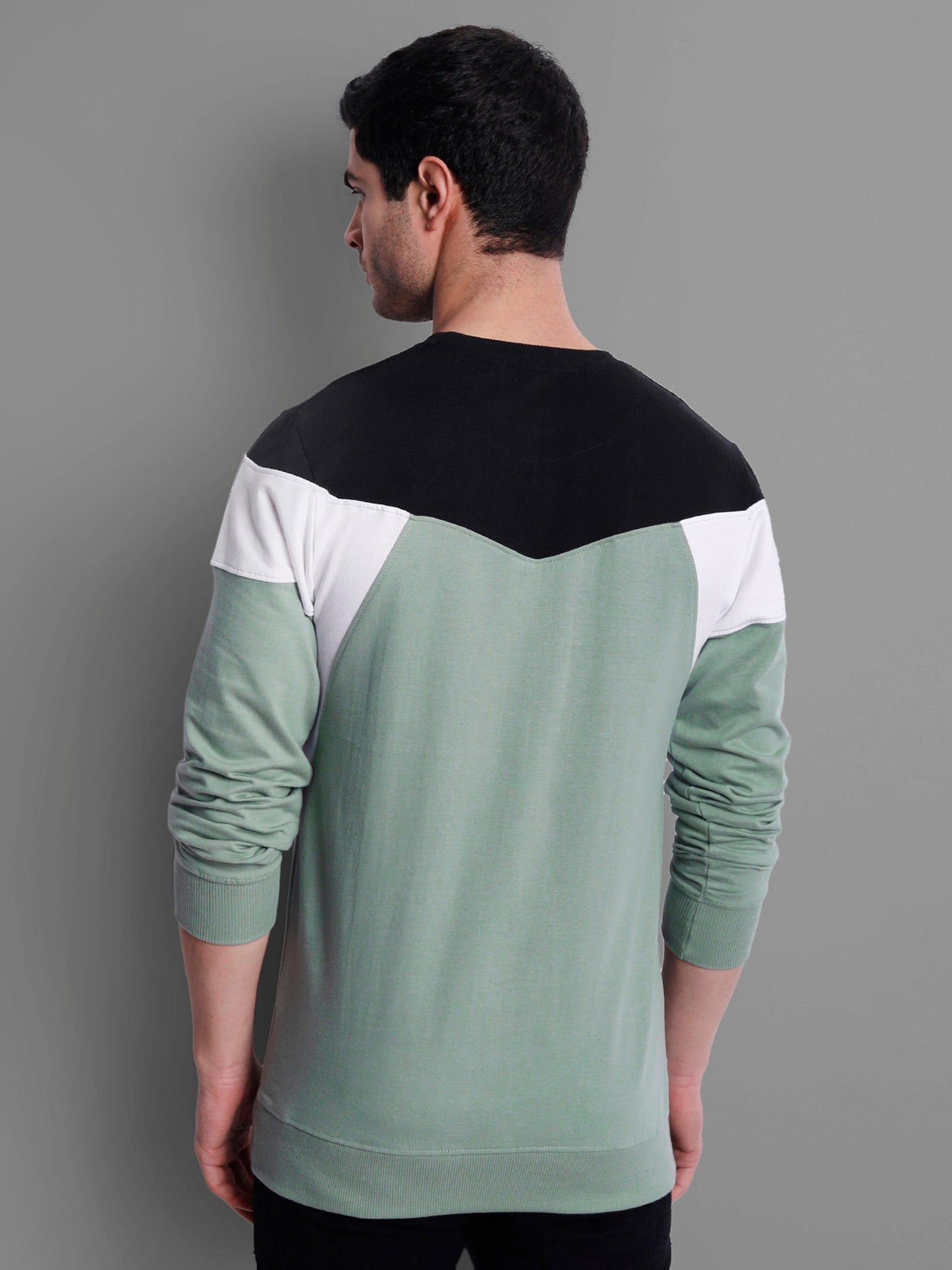 Men C-Green-Coloured Colourblocked Cotton Sweatshirt